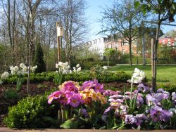 Blumenbeet eines Stadtpark-Gartens