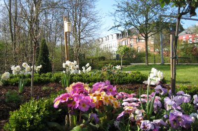 Blumenbeet eines Stadtpark-Gartens