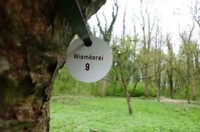 Ein enger Bildausschnitt eines Baumstamms auf einer Wiese mit Obstbäumen. An den Stamm gebunden ist ein rundes Schild mit dem Aufdruck "Wiemkerei" und darunter der Zahl 9. 