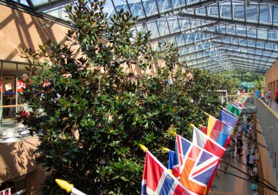 Innenaufnahme der Nordseepassage an einem sonnigen Tag. Unter den Dreiecken des Glasdaches ist eine Reihe von Bäumen zu sehen und seitlich davon eine Reihe von Länderflaggen.