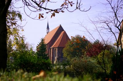 St. Georgs Kirche Sengwarden im Bild eingerahmt von Zweigen und inmitten von Bäumen und Sträuchern.