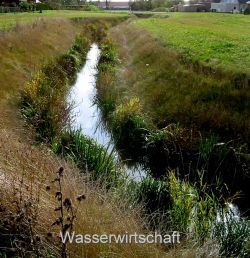 Ein dicht begrünter Wassergraben auf einer Wiese am Rande eines Wohngebietes.