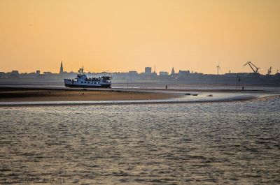Blick auf Wilhelmshaven mit Seehunden Blick auf Wilhelmshaven mit Seehunden